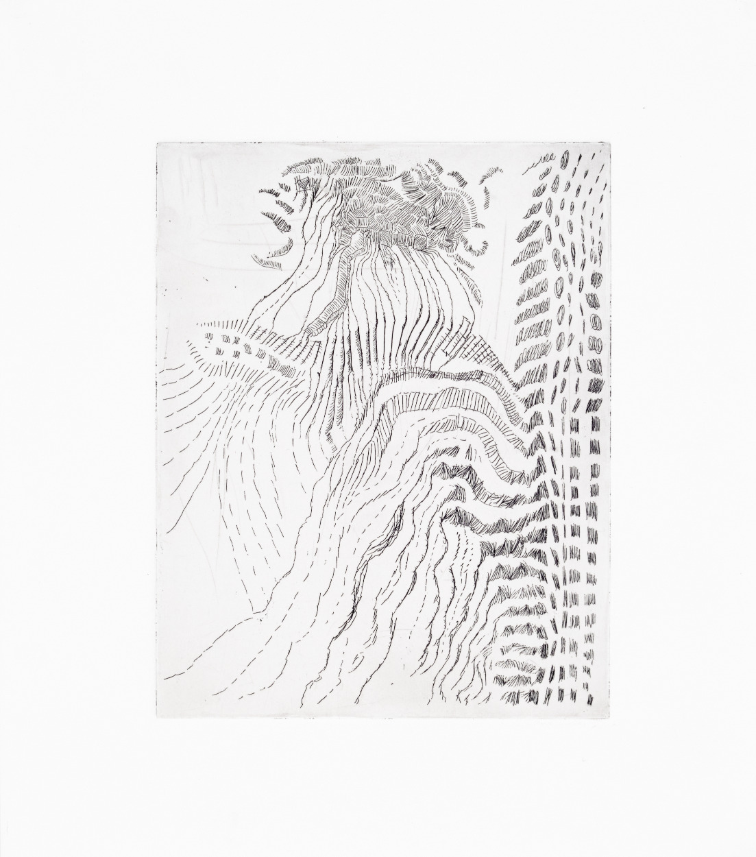 Lisa Snoek-Entropie