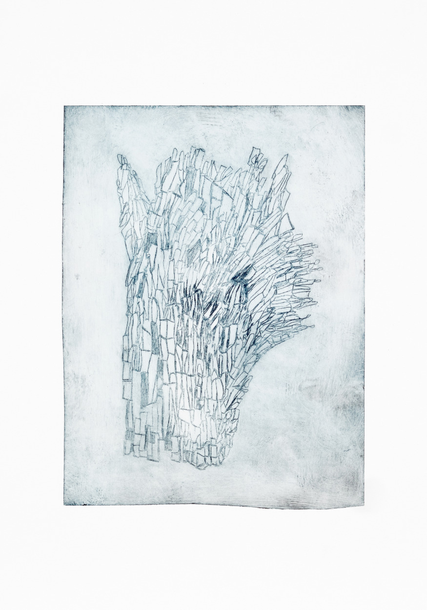 Lisa Snoek-Fold-1