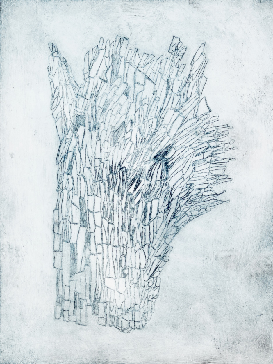 Lisa Snoek-Fold